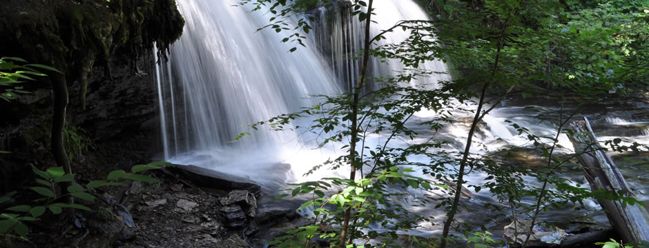 自动攻击网站工具下载